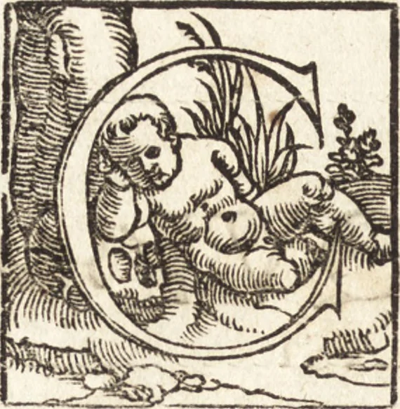 An illustration from Concilia omnia, tam generalia quam particularia : ab apostolorum temporibus in hunc vsque diem a sanctissimis patribus celebrata, & quorum acta literis mandata, ex vetustissimis diuersa[rum] regionu[m] bibliothecis haberi potuere, his duobus tomis continentur : tomvs primvs ea recenset concilia, quae a beato Petro apostolo vsq[ue] ad Iohanne[m] huius nominis papam secundu[m] seruata inuenimus : quo[rum] ordinem & nomina si quis accuratius desideret, versa pagina indicabit, 1538, leaf 665