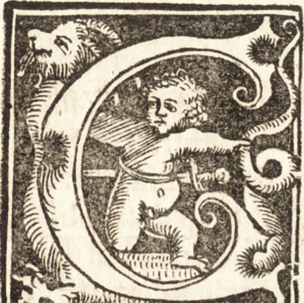 An illustration from Concilia omnia, tam generalia quam particularia : ab apostolorum temporibus in hunc vsque diem a sanctissimis patribus celebrata, & quorum acta literis mandata, ex vetustissimis diuersa[rum] regionu[m] bibliothecis haberi potuere, his duobus tomis continentur : tomvs primvs ea recenset concilia, quae a beato Petro apostolo vsq[ue] ad Iohanne[m] huius nominis papam secundu[m] seruata inuenimus : quo[rum] ordinem & nomina si quis accuratius desideret, versa pagina indicabit, 1538, leaf 790
