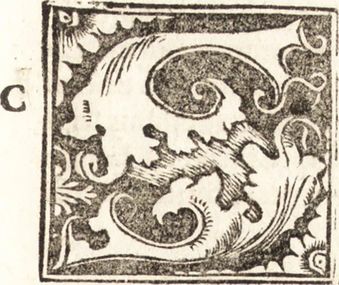 An illustration from Concilia omnia, tam generalia quam particularia : ab apostolorum temporibus in hunc vsque diem a sanctissimis patribus celebrata, & quorum acta literis mandata, ex vetustissimis diuersa[rum] regionu[m] bibliothecis haberi potuere, his duobus tomis continentur : tomvs primvs ea recenset concilia, quae a beato Petro apostolo vsq[ue] ad Iohanne[m] huius nominis papam secundu[m] seruata inuenimus : quo[rum] ordinem & nomina si quis accuratius desideret, versa pagina indicabit, 1538, leaf 790