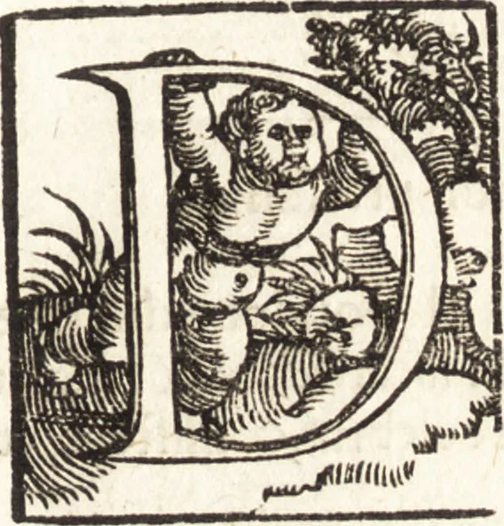 An illustration from Concilia omnia, tam generalia quam particularia : ab apostolorum temporibus in hunc vsque diem a sanctissimis patribus celebrata, & quorum acta literis mandata, ex vetustissimis diuersa[rum] regionu[m] bibliothecis haberi potuere, his duobus tomis continentur : tomvs primvs ea recenset concilia, quae a beato Petro apostolo vsq[ue] ad Iohanne[m] huius nominis papam secundu[m] seruata inuenimus : quo[rum] ordinem & nomina si quis accuratius desideret, versa pagina indicabit, 1538, leaf 82