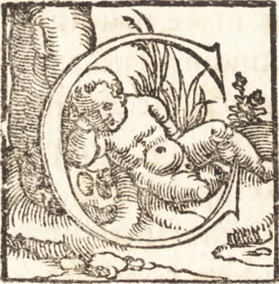 An illustration from Concilia omnia, tam generalia quam particularia : ab apostolorum temporibus in hunc vsque diem a sanctissimis patribus celebrata, & quorum acta literis mandata, ex vetustissimis diuersa[rum] regionu[m] bibliothecis haberi potuere, his duobus tomis continentur : tomvs primvs ea recenset concilia, quae a beato Petro apostolo vsq[ue] ad Iohanne[m] huius nominis papam secundu[m] seruata inuenimus : quo[rum] ordinem & nomina si quis accuratius desideret, versa pagina indicabit, 1538, leaf 9