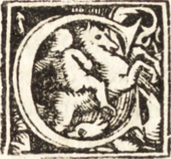An illustration from Concilia omnia, tam generalia quam particularia : ab apostolorum temporibus in hunc vsque diem a sanctissimis patribus celebrata, & quorum acta literis mandata, ex vetustissimis diuersa[rum] regionu[m] bibliothecis haberi potuere, his duobus tomis continentur : tomvs primvs ea recenset concilia, quae a beato Petro apostolo vsq[ue] ad Iohanne[m] huius nominis papam secundu[m] seruata inuenimus : quo[rum] ordinem & nomina si quis accuratius desideret, versa pagina indicabit, 1538, leaf 904