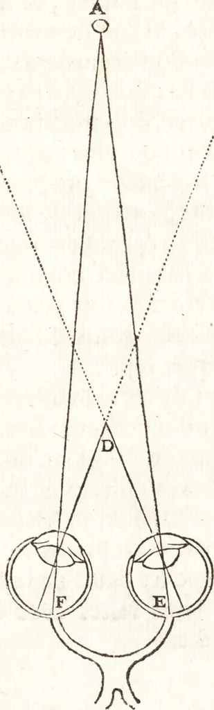 An illustration from Conferences de l'Academie royale de peinture et de sculpture, pendant l'année 1667, 1669, leaf 218
