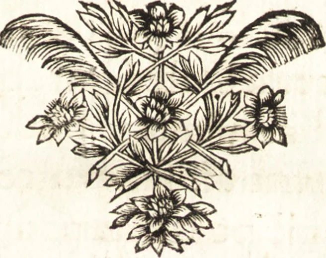 An illustration from Conferences de l'Academie royale de peinture et de sculpture, pendant l'année 1667, 1669, leaf 74