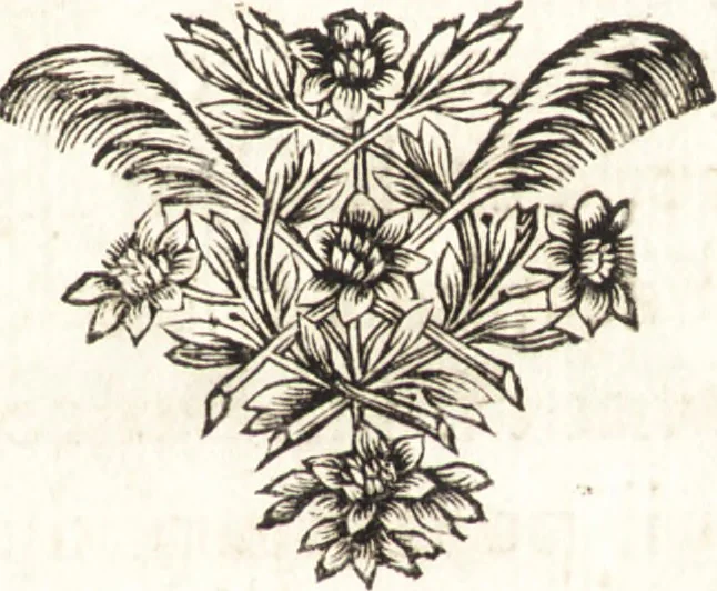An illustration from Conferences de l'Academie royale de peinture et de sculpture, pendant l'année 1667, 1669, leaf 74