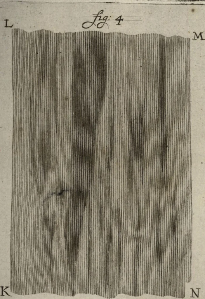 An illustration from Continuatio epistolarum, datarum ad longè celeberrimam Regiam Societatem Londinensem, 1696, leaf 10