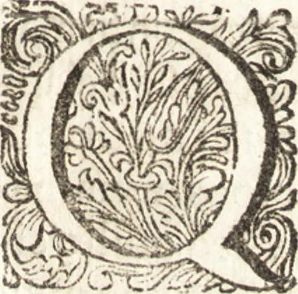 An illustration from Continuatio epistolarum, datarum ad longè celeberrimam Regiam Societatem Londinensem, 1696, leaf 100