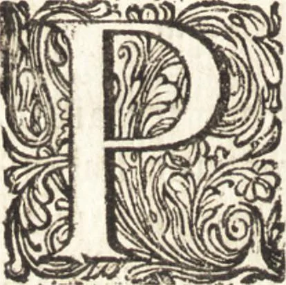 An illustration from Continuatio epistolarum, datarum ad longè celeberrimam Regiam Societatem Londinensem, 1696, leaf 147