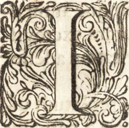 An illustration from Continuatio epistolarum, datarum ad longè celeberrimam Regiam Societatem Londinensem, 1696, leaf 160