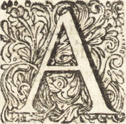 An illustration from Continuatio epistolarum, datarum ad longè celeberrimam Regiam Societatem Londinensem, 1696, leaf 167