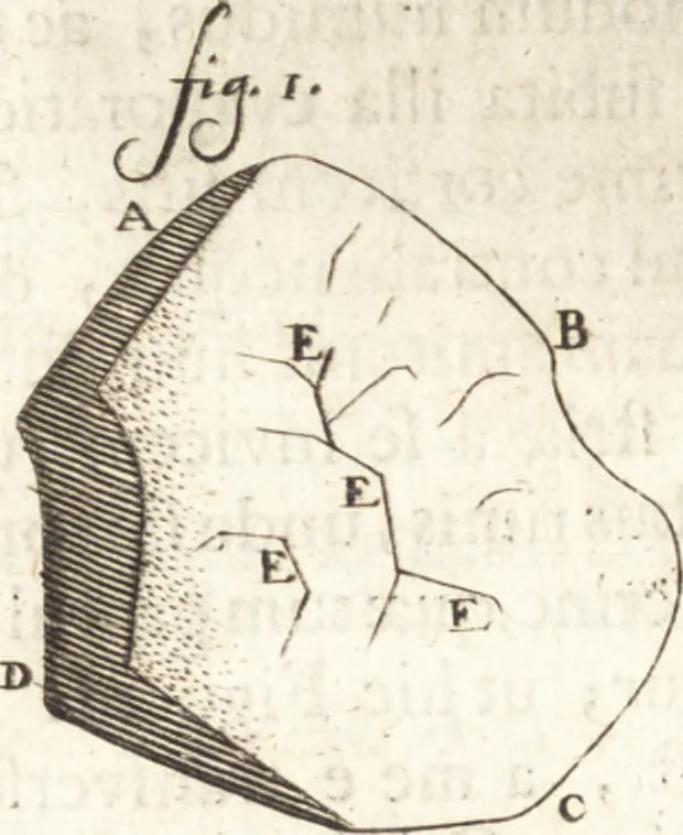 An illustration from Continuatio epistolarum, datarum ad longè celeberrimam Regiam Societatem Londinensem, 1696, leaf 169