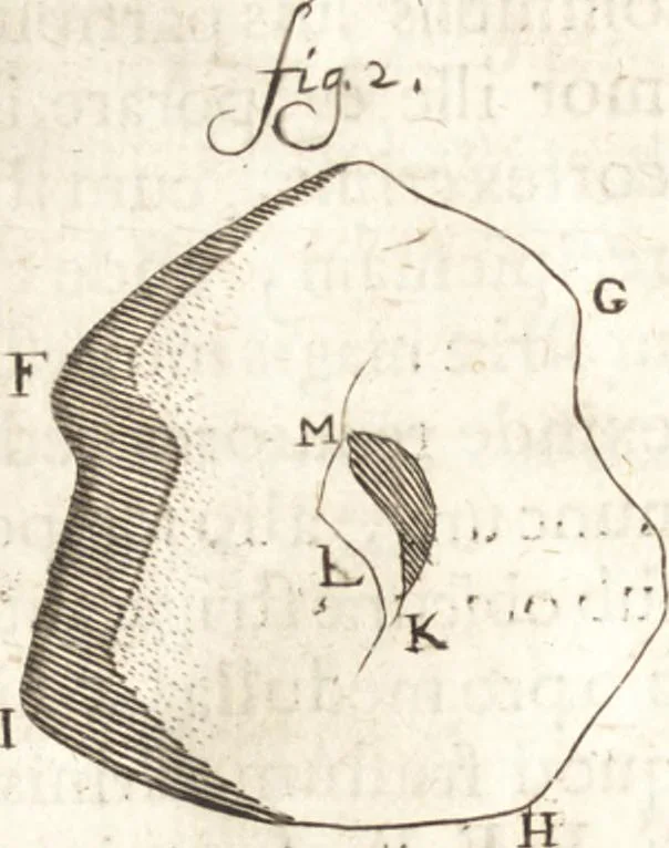 An illustration from Continuatio epistolarum, datarum ad longè celeberrimam Regiam Societatem Londinensem, 1696, leaf 169
