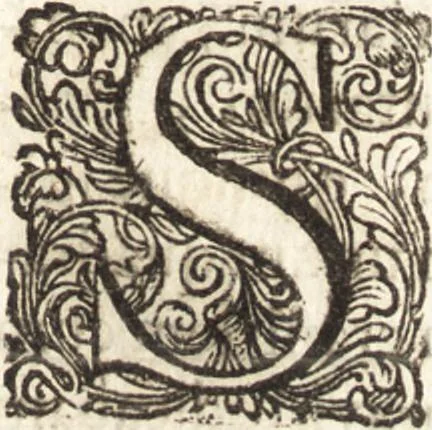 An illustration from Continuatio epistolarum, datarum ad longè celeberrimam Regiam Societatem Londinensem, 1696, leaf 178