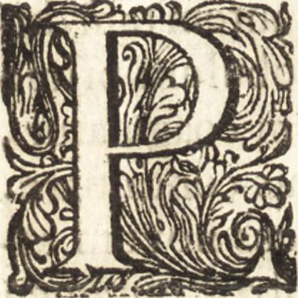 An illustration from Continuatio epistolarum, datarum ad longè celeberrimam Regiam Societatem Londinensem, 1696, leaf 189
