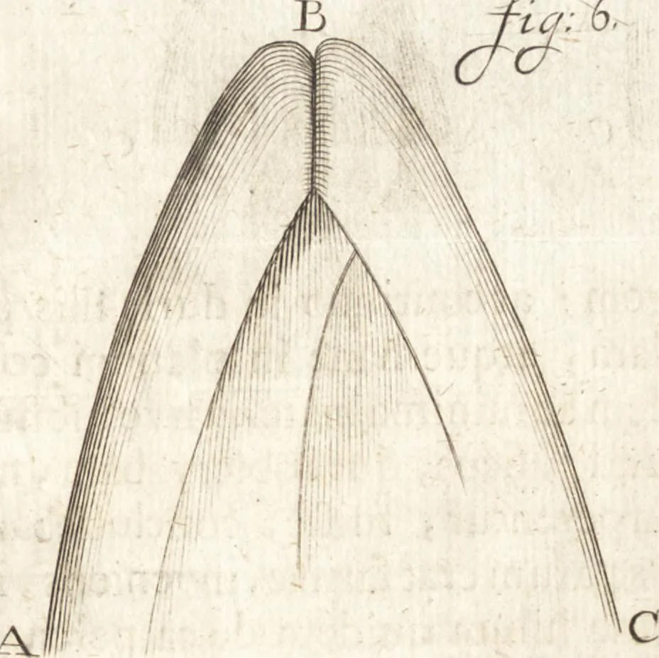 An illustration from Continuatio epistolarum, datarum ad longè celeberrimam Regiam Societatem Londinensem, 1696, leaf 198