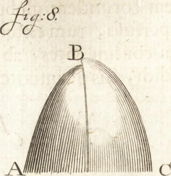 An illustration from Continuatio epistolarum, datarum ad longè celeberrimam Regiam Societatem Londinensem, 1696, leaf 199