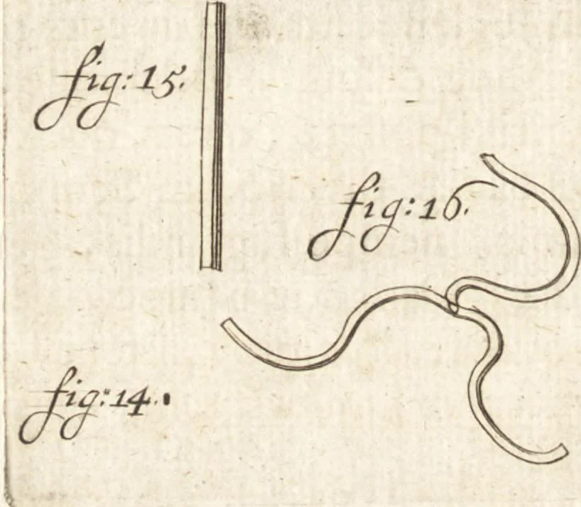 An illustration from Continuatio epistolarum, datarum ad longè celeberrimam Regiam Societatem Londinensem, 1696, leaf 211