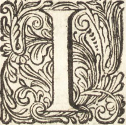 An illustration from Continuatio epistolarum, datarum ad longè celeberrimam Regiam Societatem Londinensem, 1696, leaf 217