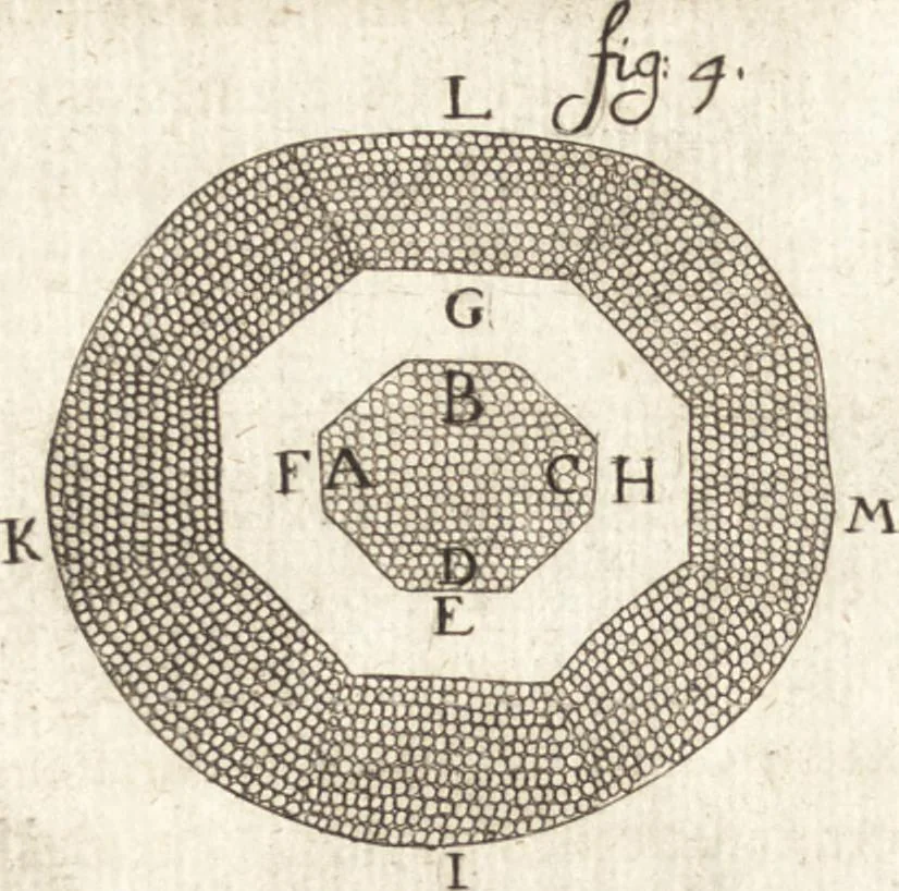 An illustration from Continuatio epistolarum, datarum ad longè celeberrimam Regiam Societatem Londinensem, 1696, leaf 221