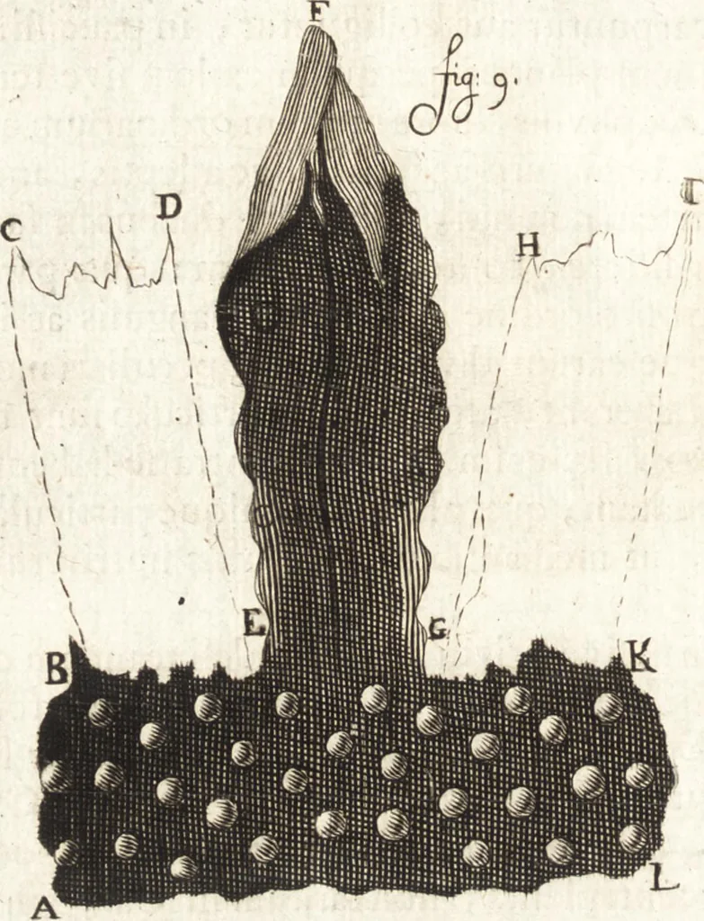 An illustration from Continuatio epistolarum, datarum ad longè celeberrimam Regiam Societatem Londinensem, 1696, leaf 225