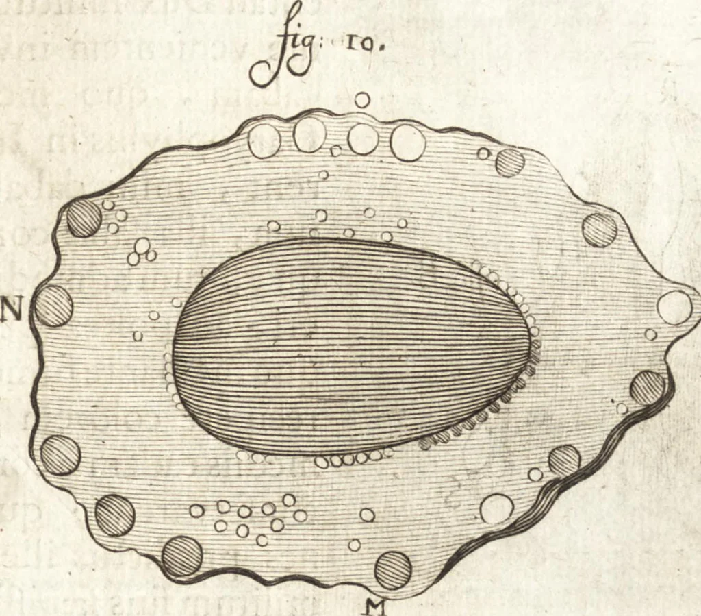 An illustration from Continuatio epistolarum, datarum ad longè celeberrimam Regiam Societatem Londinensem, 1696, leaf 226