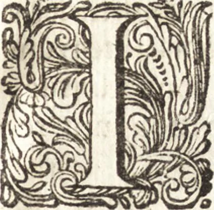 An illustration from Continuatio epistolarum, datarum ad longè celeberrimam Regiam Societatem Londinensem, 1696, leaf 26