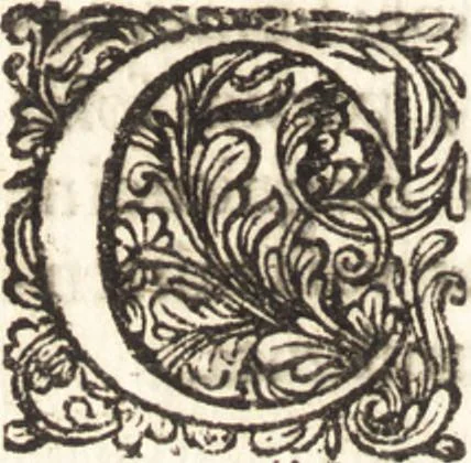 An illustration from Continuatio epistolarum, datarum ad longè celeberrimam Regiam Societatem Londinensem, 1696, leaf 315