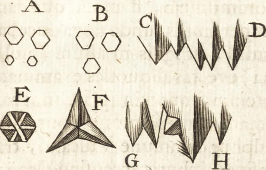 An illustration from Continuatio epistolarum, datarum ad longè celeberrimam Regiam Societatem Londinensem, 1696, leaf 316