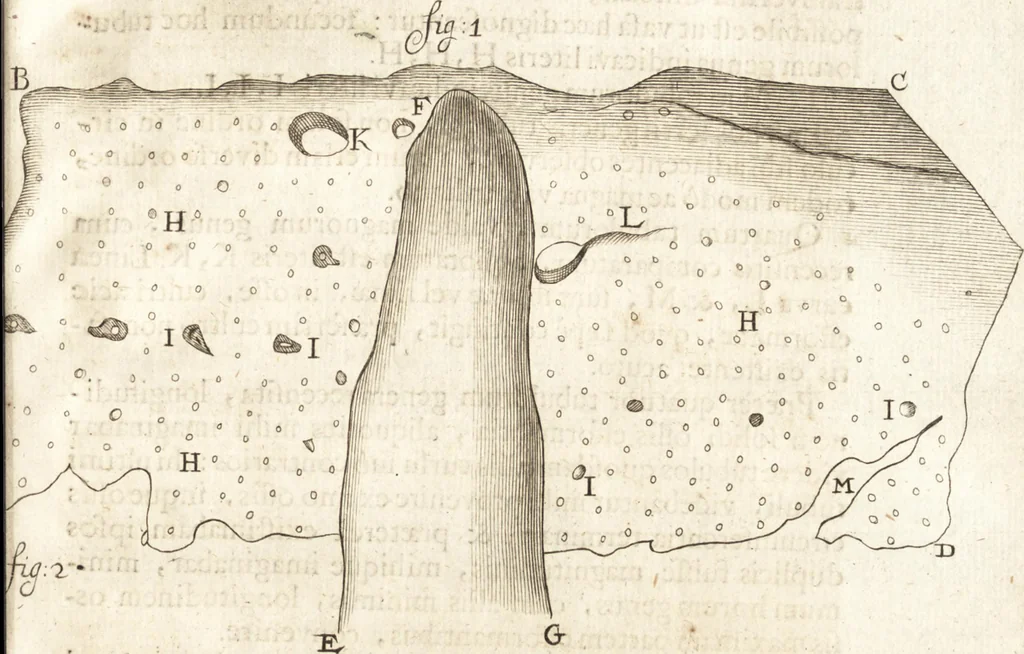 An illustration from Continuatio epistolarum, datarum ad longè celeberrimam Regiam Societatem Londinensem, 1696, leaf 338