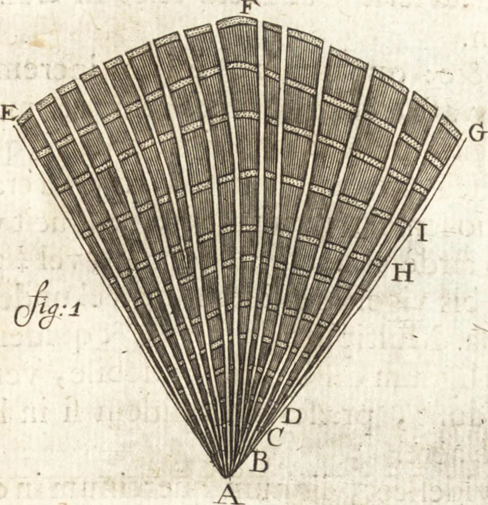 An illustration from Continuatio epistolarum, datarum ad longè celeberrimam Regiam Societatem Londinensem, 1696, leaf 386