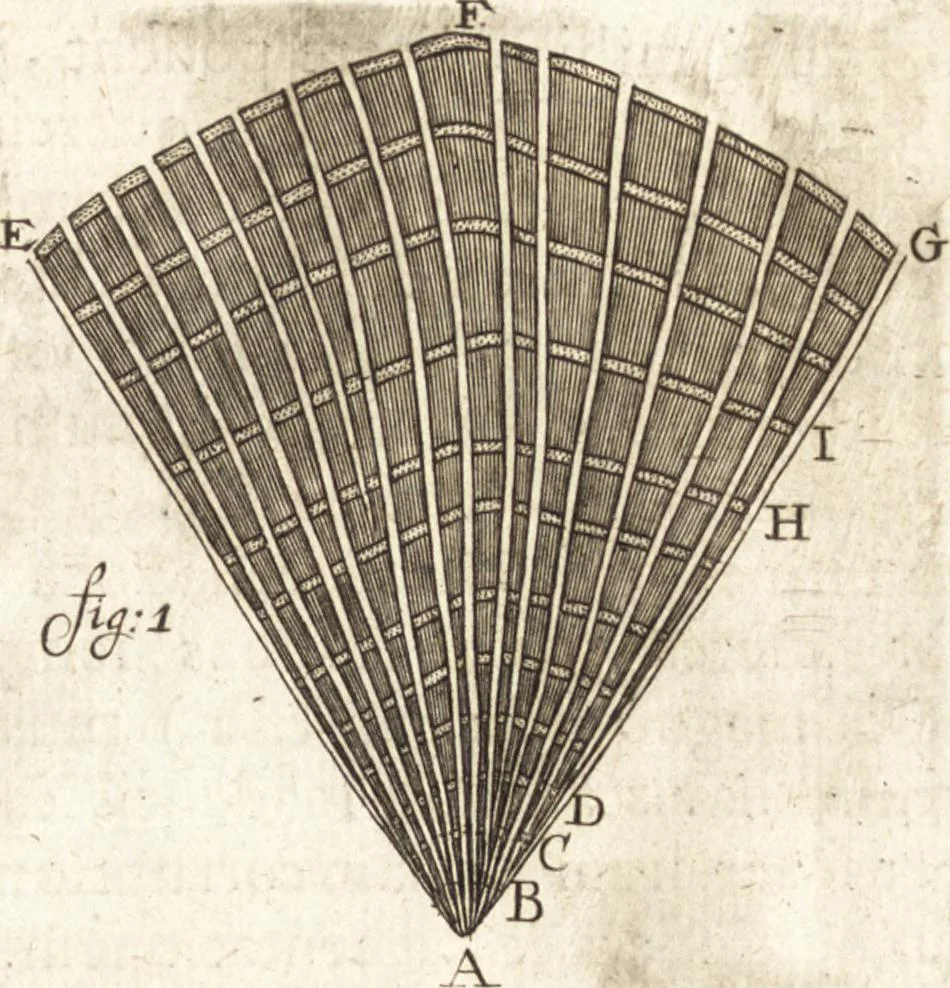 An illustration from Continuatio epistolarum, datarum ad longè celeberrimam Regiam Societatem Londinensem, 1696, leaf 392