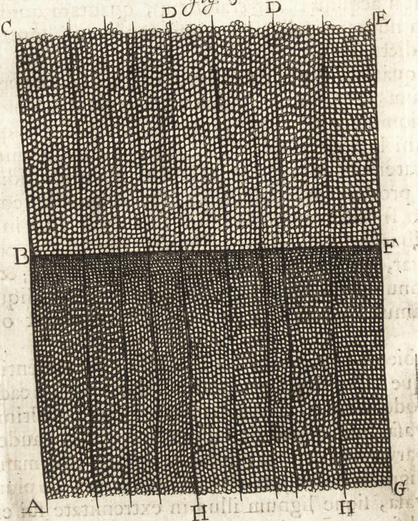 An illustration from Continuatio epistolarum, datarum ad longè celeberrimam Regiam Societatem Londinensem, 1696, leaf 395