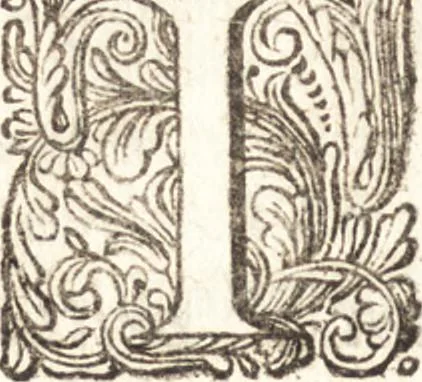 An illustration from Continuatio epistolarum, datarum ad longè celeberrimam Regiam Societatem Londinensem, 1696, leaf 47