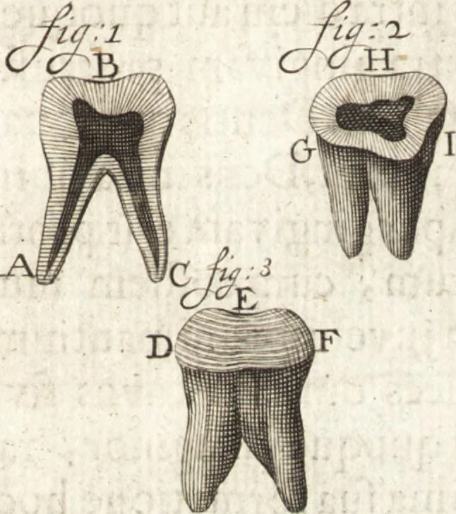 An illustration from Continuatio epistolarum, datarum ad longè celeberrimam Regiam Societatem Londinensem, 1696, leaf 6