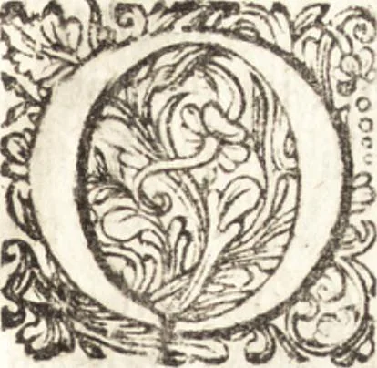 An illustration from Continuatio epistolarum, datarum ad longè celeberrimam Regiam Societatem Londinensem, 1696, leaf 62