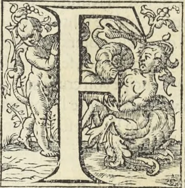 An illustration from Cremona fedelissima citta et nobilissima colonia de Romani : rappresentata in disegno col svo contado et illvstrata d'vna breve historia delle cose piv notabili appartenenti ad essa et de i ritratti natvrali de dvchi et dvchesse di Milano e compendio delle lor vite, 1585, leaf 189