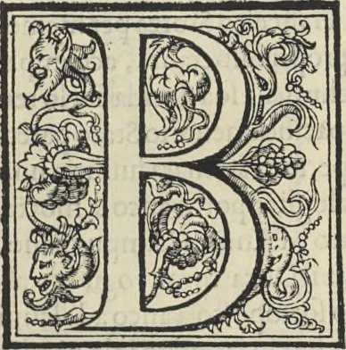 An illustration from Cremona fedelissima citta et nobilissima colonia de Romani : rappresentata in disegno col svo contado et illvstrata d'vna breve historia delle cose piv notabili appartenenti ad essa et de i ritratti natvrali de dvchi et dvchesse di Milano e compendio delle lor vite, 1585, leaf 192