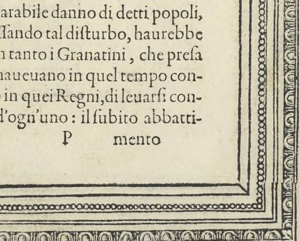 An illustration from Cremona fedelissima citta et nobilissima colonia de Romani : rappresentata in disegno col svo contado et illvstrata d'vna breve historia delle cose piv notabili appartenenti ad essa et de i ritratti natvrali de dvchi et dvchesse di Milano e compendio delle lor vite, 1585, leaf 208