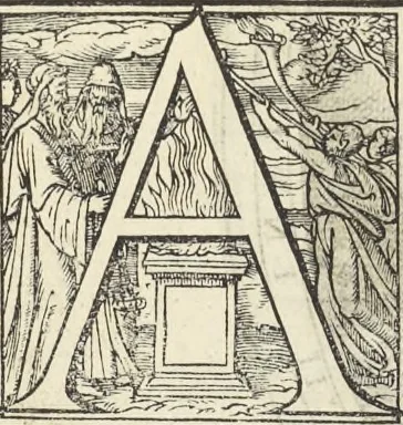 An illustration from Cremona fedelissima citta et nobilissima colonia de Romani : rappresentata in disegno col svo contado et illvstrata d'vna breve historia delle cose piv notabili appartenenti ad essa et de i ritratti natvrali de dvchi et dvchesse di Milano e compendio delle lor vite, 1585, leaf 213