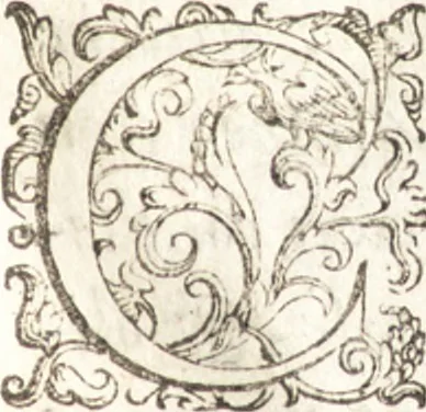 An illustration from Cronica istoriale di Tremiti, 1606, leaf 102