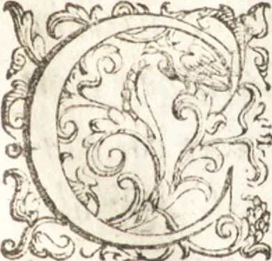 An illustration from Cronica istoriale di Tremiti, 1606, leaf 99