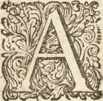 An illustration from C. Stalpartii vander Wiel medici Hagiensis Observationum rariorum medic. anatomic. chirurgicarum centuria prior : accedit De unicornu dissertatio : utraque tertia parte auctior, longeque emendatior, 1687, leaf 20