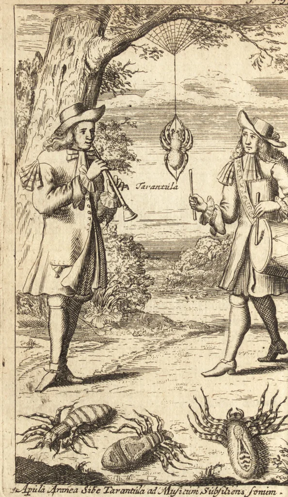 An illustration from C. Stalpartii vander Wiel medici Hagiensis Observationum rariorum medic. anatomic. chirurgicarum centuria prior : accedit De unicornu dissertatio : utraque tertia parte auctior, longeque emendatior, 1687, leaf 472