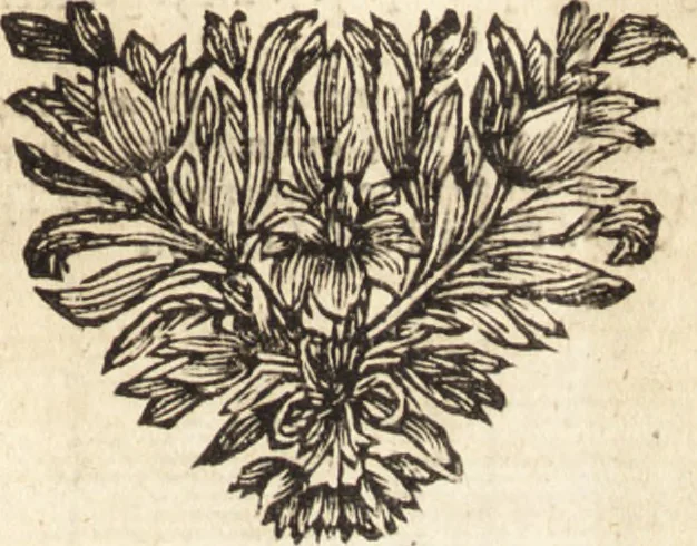 An illustration from C. Stalpartii vander Wiel medici Hagiensis Observationum rariorum medic. anatomic. chirurgicarum centuria prior : accedit De unicornu dissertatio : utraque tertia parte auctior, longeque emendatior, 1687, leaf 567