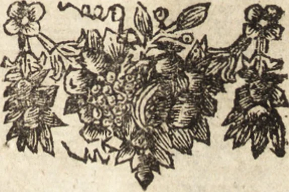 An illustration from C. Stalpartii vander Wiel medici Hagiensis Observationum rariorum medic. anatomic. chirurgicarum centuria prior : accedit De unicornu dissertatio : utraque tertia parte auctior, longeque emendatior, 1687, leaf 6