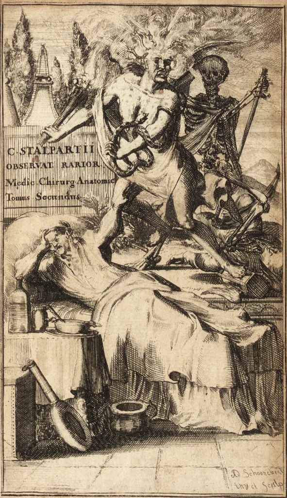 An illustration from C. Stalpartii vander Wiel medici Hagiensis Observationum rariorum medic. anatomic. chirurgicarum centuria prior : accedit De unicornu dissertatio : utraque tertia parte auctior, longeque emendatior, 1687, leaf 4
