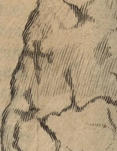 An illustration from C. Stalpartii vander Wiel medici Hagiensis Observationum rariorum medic. anatomic. chirurgicarum centuria prior : accedit De unicornu dissertatio : utraque tertia parte auctior, longeque emendatior, 1687, leaf 426
