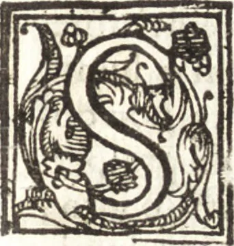 An illustration from Della forma delle mvse : cavata da gli antichi avtori greci et latini : opera vtilissima à pittori & scoltori, 1591, leaf 256