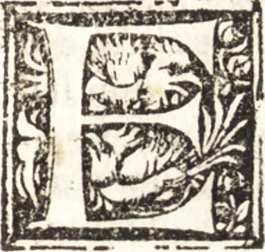 An illustration from Della forma delle mvse : cavata da gli antichi avtori greci et latini : opera vtilissima à pittori & scoltori, 1591, leaf 290