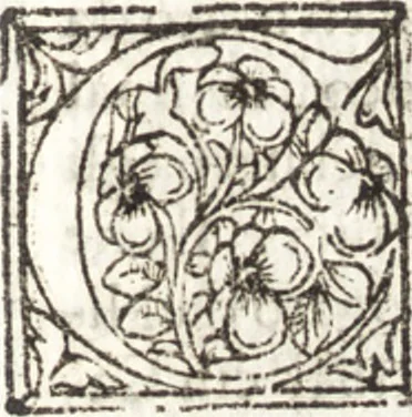 An illustration from Della forma delle mvse : cavata da gli antichi avtori greci et latini : opera vtilissima à pittori & scoltori, 1591, leaf 572